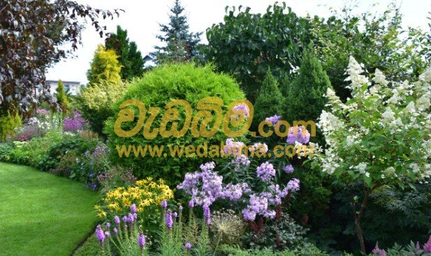 Landscape and Garden designers Hambantota
