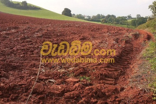 Red Soil Supply companies in Kottawa, colombo
