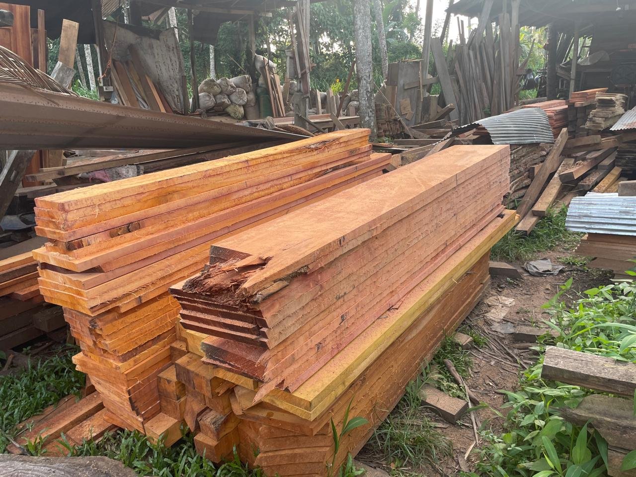 Mahogany Wood price in Kurunegala