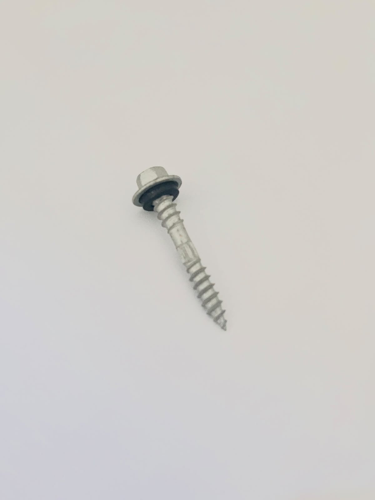 5.5 x 40mm Wood Screw price in colombo
