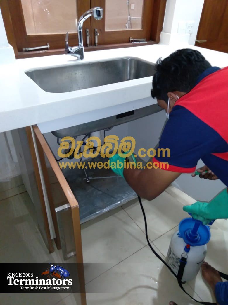 anti termite treatment price in negombo