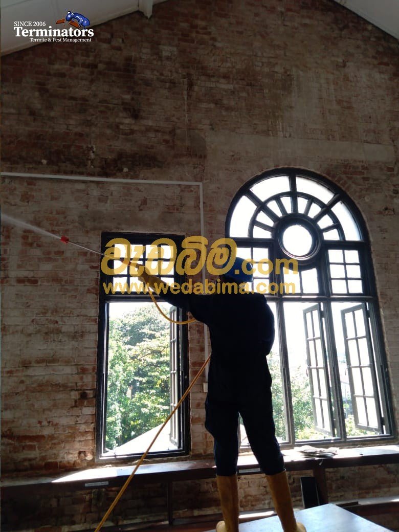 termite treatment contractors in colombo
