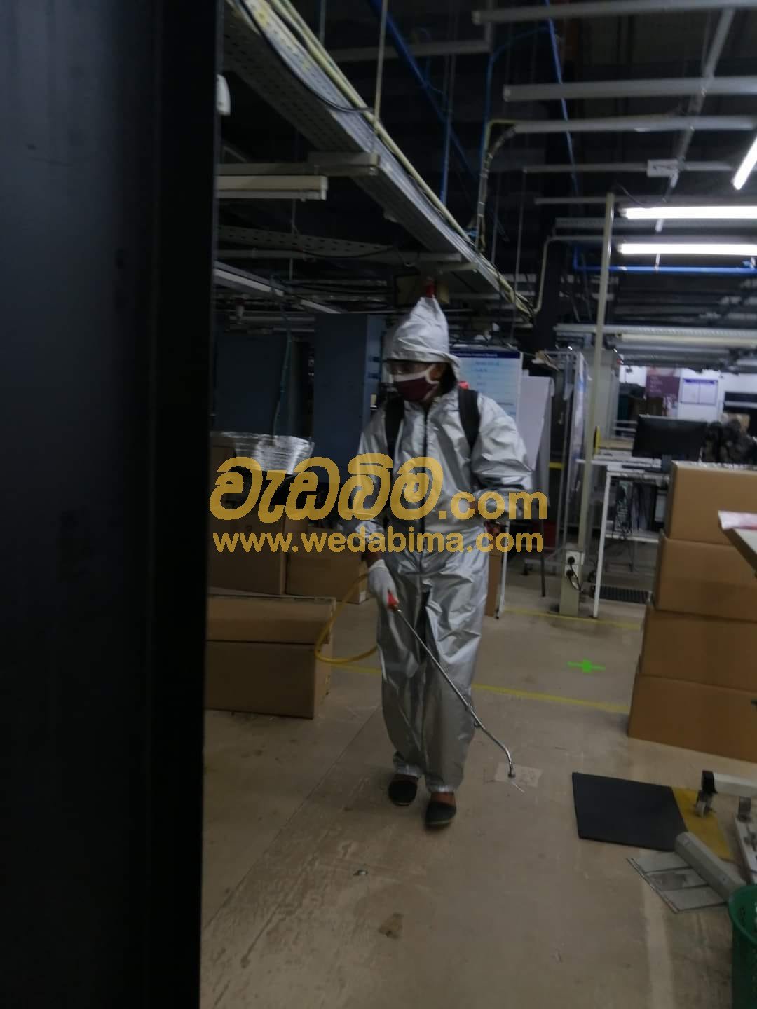 anti termite treatment chemicals in sri lanka