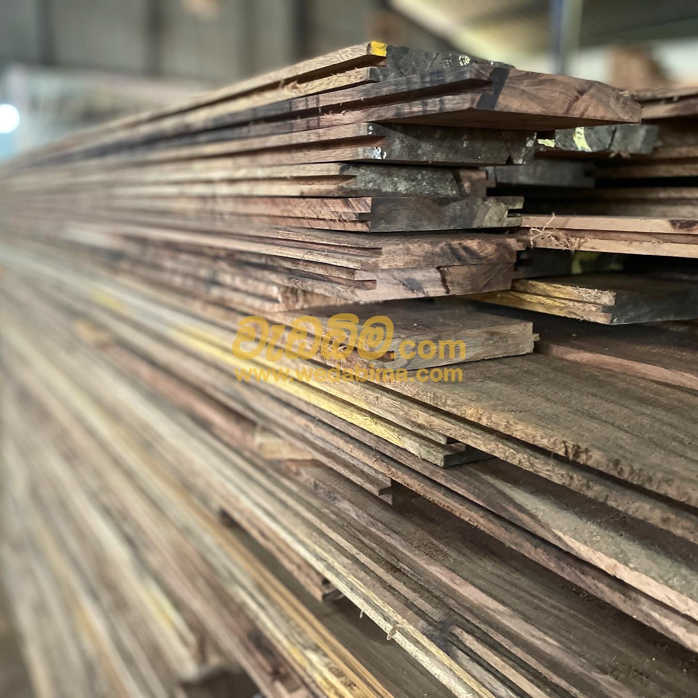 Kubuk wood price in srilanka