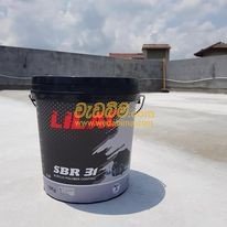 Waterproofing Products In Srilanka
