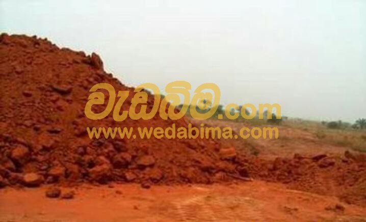 Rathu Pas price colombo