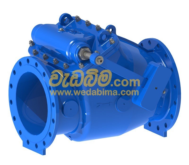 Swing Check Valve with Lever and Weight