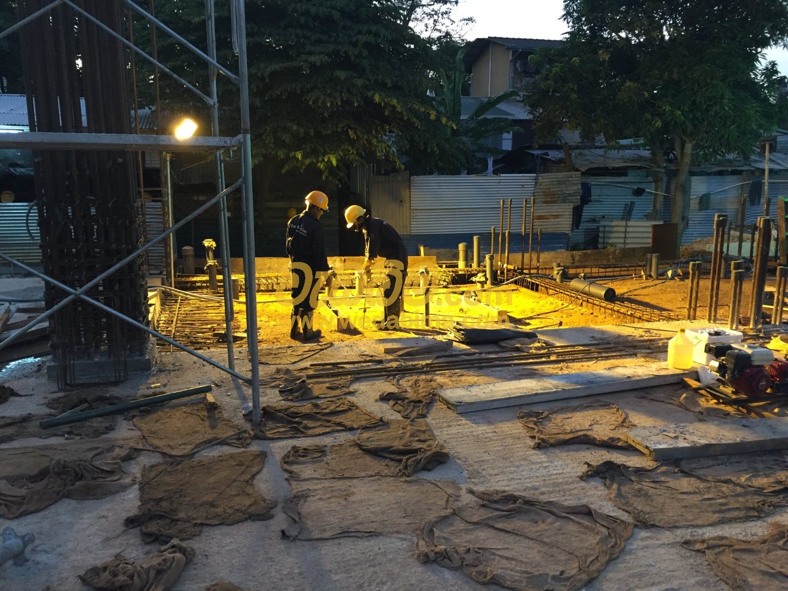 anti termite treatment price in sri lanka