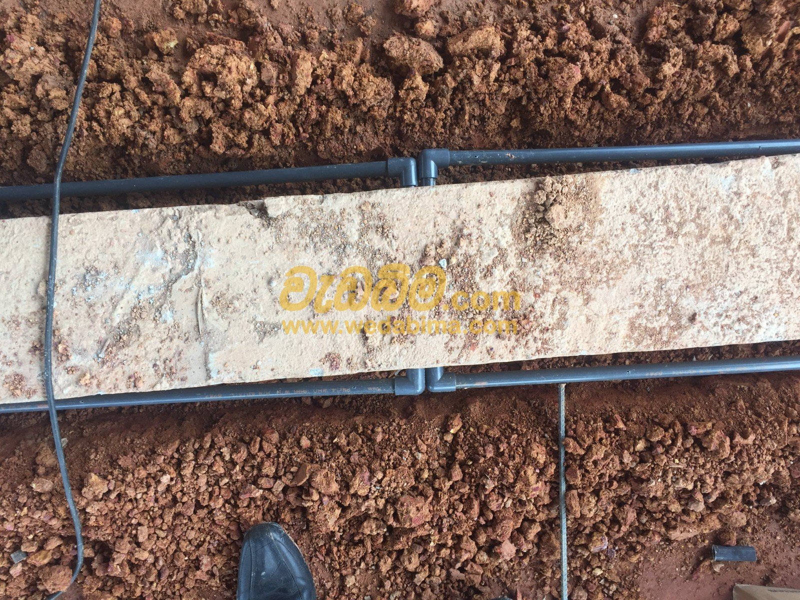 Termite treatment solutions in sri lanka