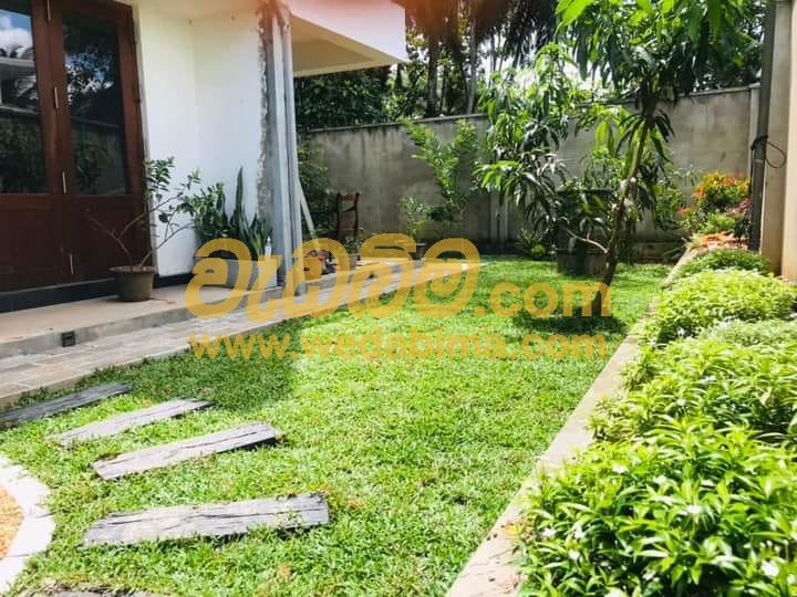 low budget simple home garden designs colombo
