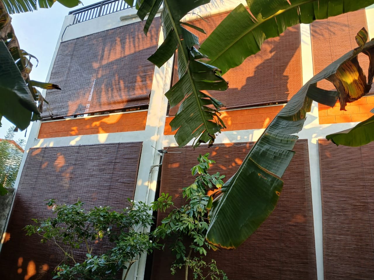 Other image 202509/indoor-and-outdoor-bamboo-blinds-sri-lanka-wedabima-2a40366fd9.jpeg