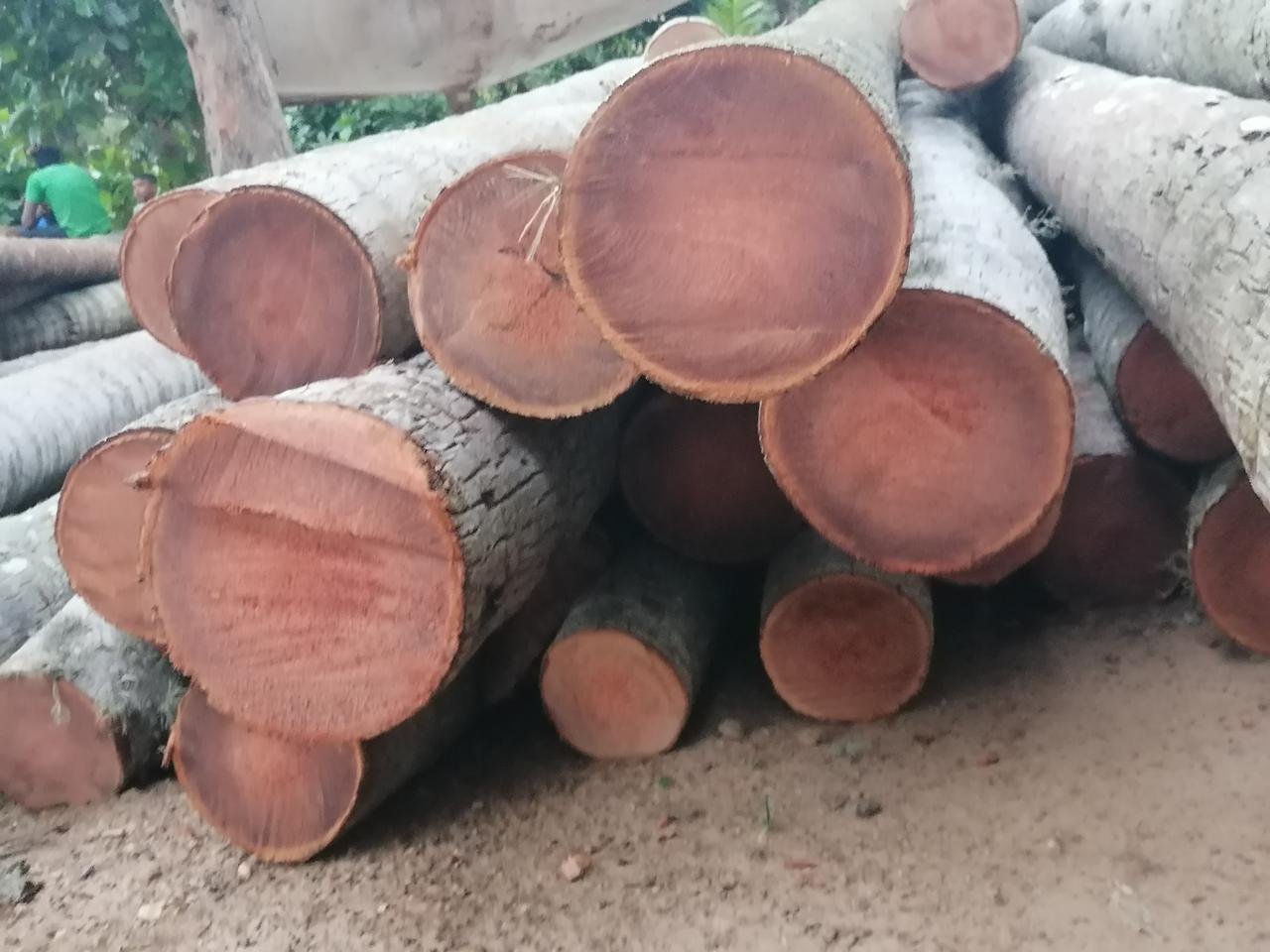 Other image 202510/modern-timber-ceiling-design-in-colombo-wedabima-8e79a7ed4a.jpeg