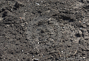 Other image 202606/black-soil-cube-price-in-kalubowila-wedabima-159a73aaf5.png