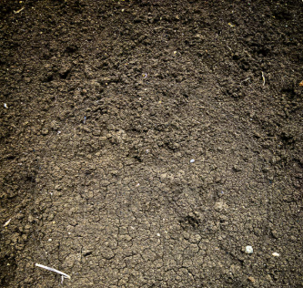 Other image 202606/black-soil-cube-price-in-kalubowila-wedabima-d1b52c78ae.png