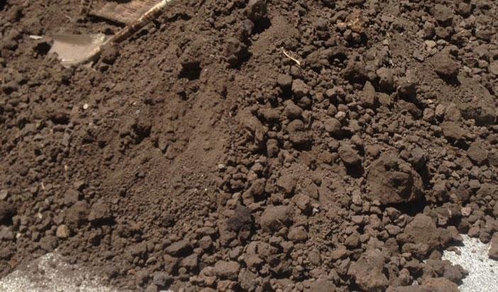 Other image 202606/soil-price-in-colombo-wedabima-4b14a7d0a3.jpg