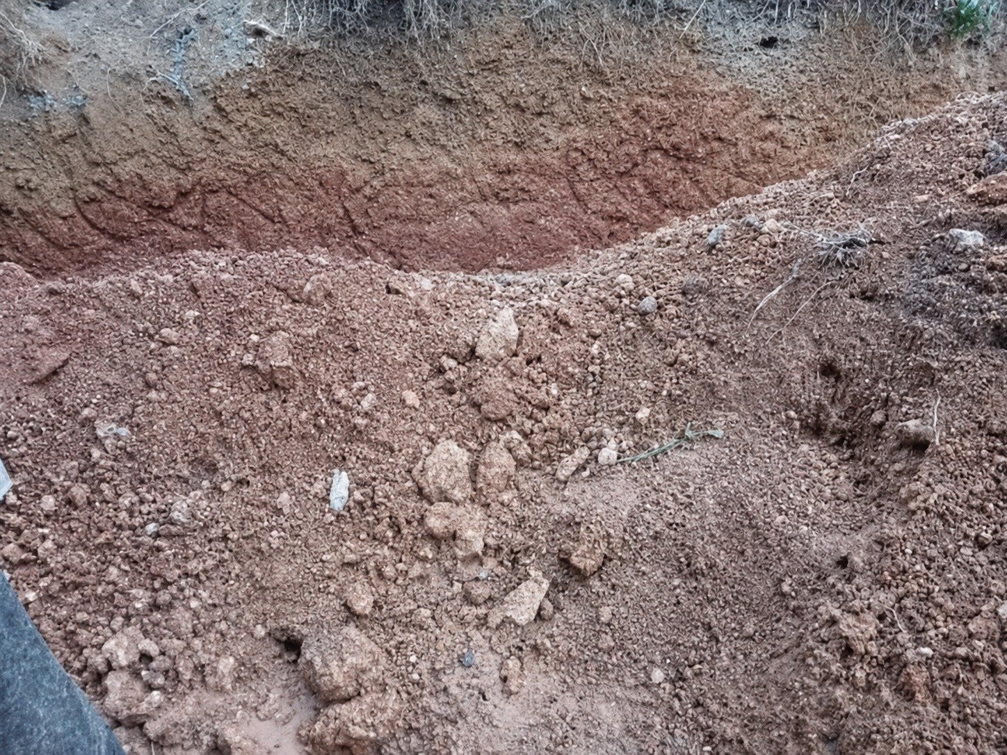Other image 202606/soil-transport-companies-in-colombo-wedabima-00424883ca.jpeg