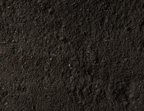 Other image 202606/soil-transport-companies-in-colombo-wedabima-52ad163bc6.png