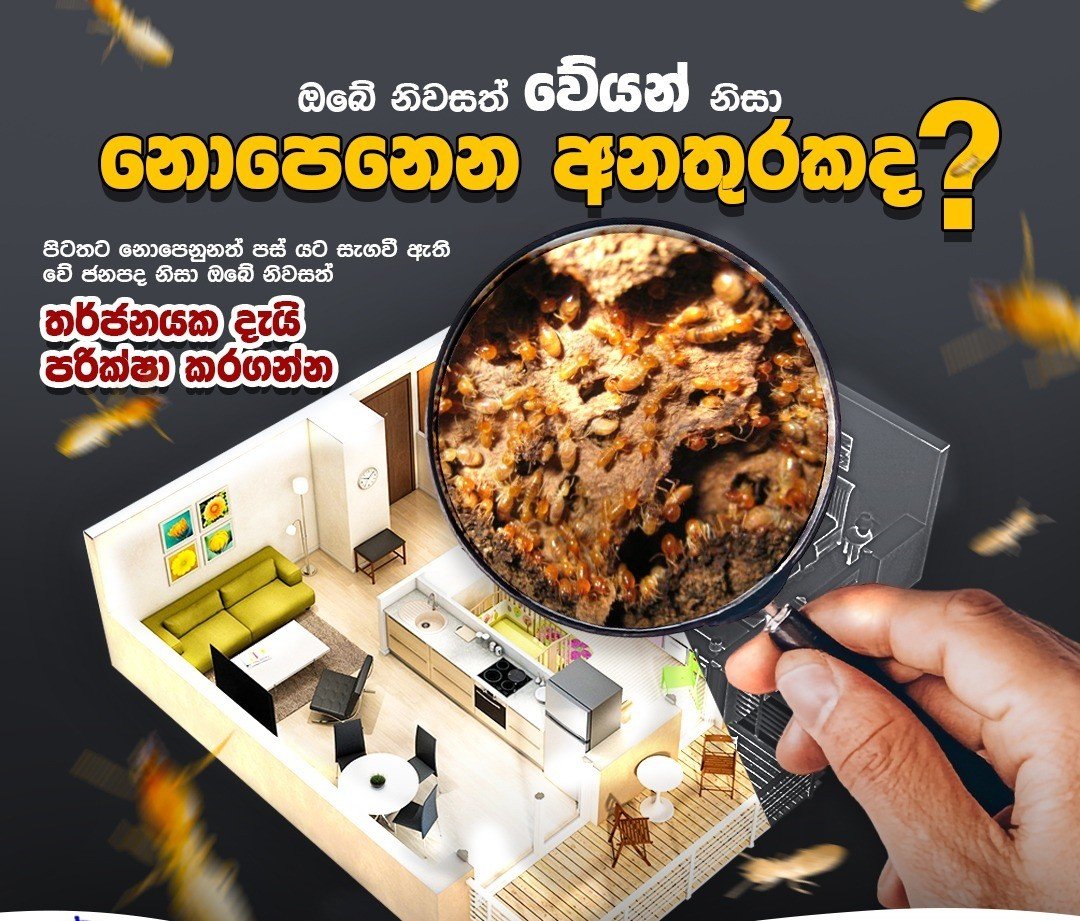 Other image 202608/anti-termite-treatment-contractors-in-sri-lanka-wedabima-709c365232.jpeg