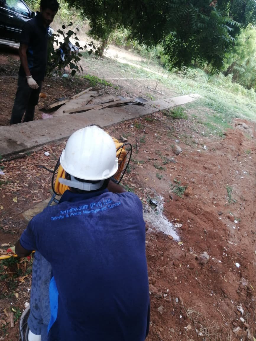 Other image 202608/termite-treatment-contractors-in-kuliyapitiya-wedabima-0eb7f9a7d0.jpeg