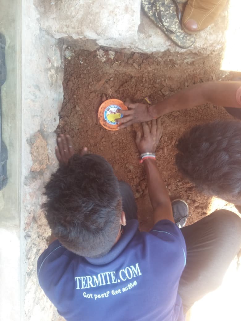 Other image 202608/termite-treatment-contractors-in-kuliyapitiya-wedabima-2ad9cefc5c.jpeg