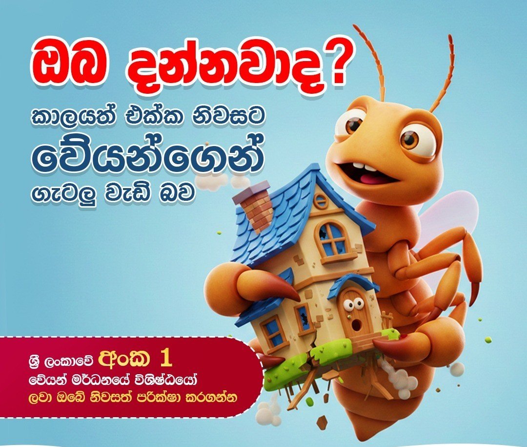 Other image 202608/termite-treatment-contractors-in-kuliyapitiya-wedabima-58a5bd25b1.jpeg