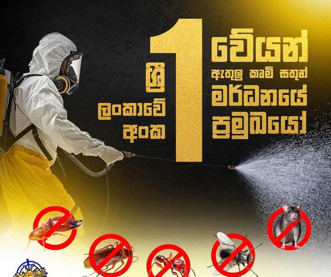 Other image 202608/termite-treatment-contractors-in-kuliyapitiya-wedabima-e2a9bd7643.jpeg