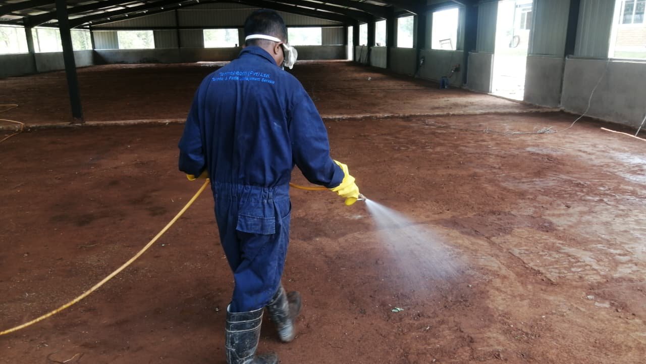 Other image 202608/termite-treatment-contractors-in-kuliyapitiya-wedabima-ec4f924637.jpeg