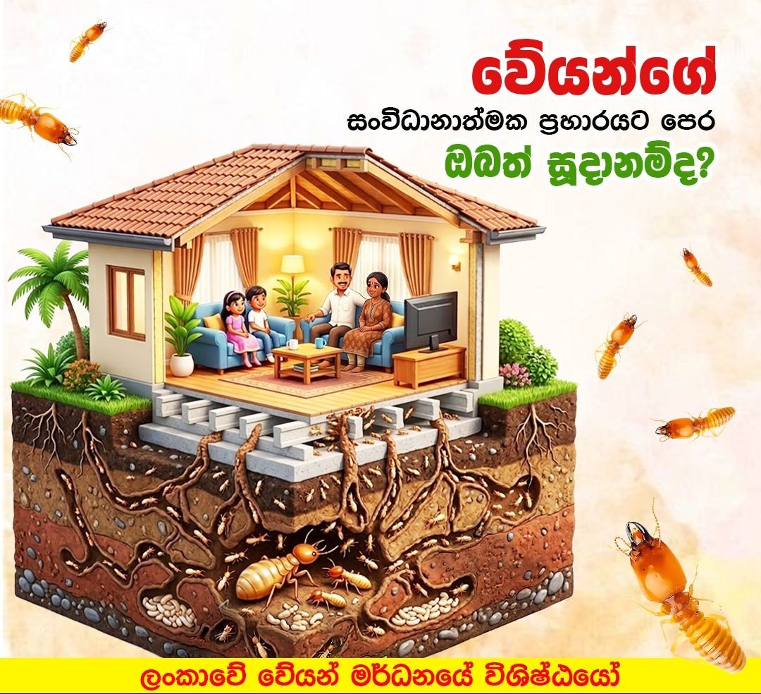 Other image 202608/termite-treatment-contractors-in-kuliyapitiya-wedabima-f1a5376d97.jpeg