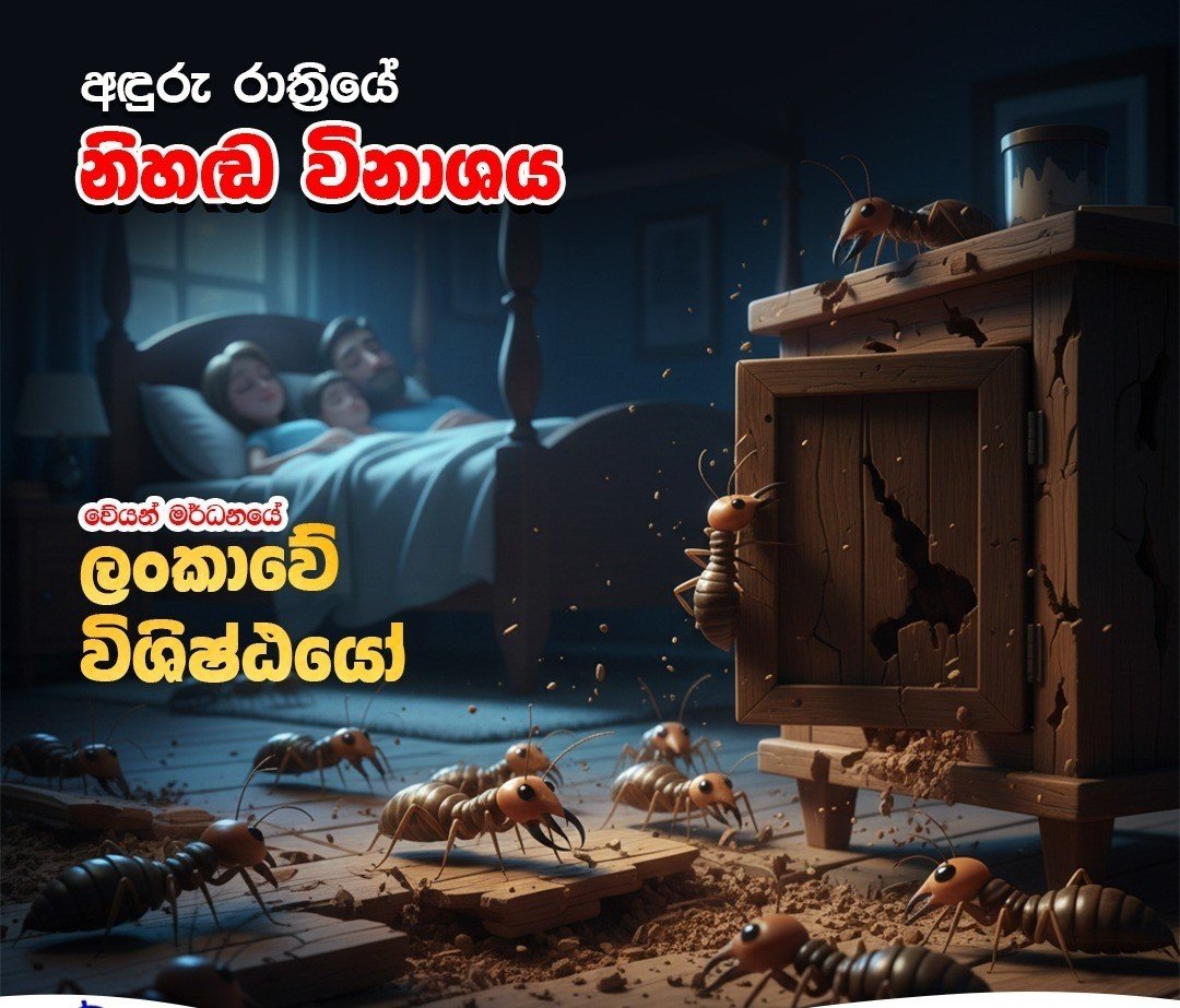 Other image 202608/termite-treatment-contractors-in-kuliyapitiya-wedabima-f9ae65546a.jpeg