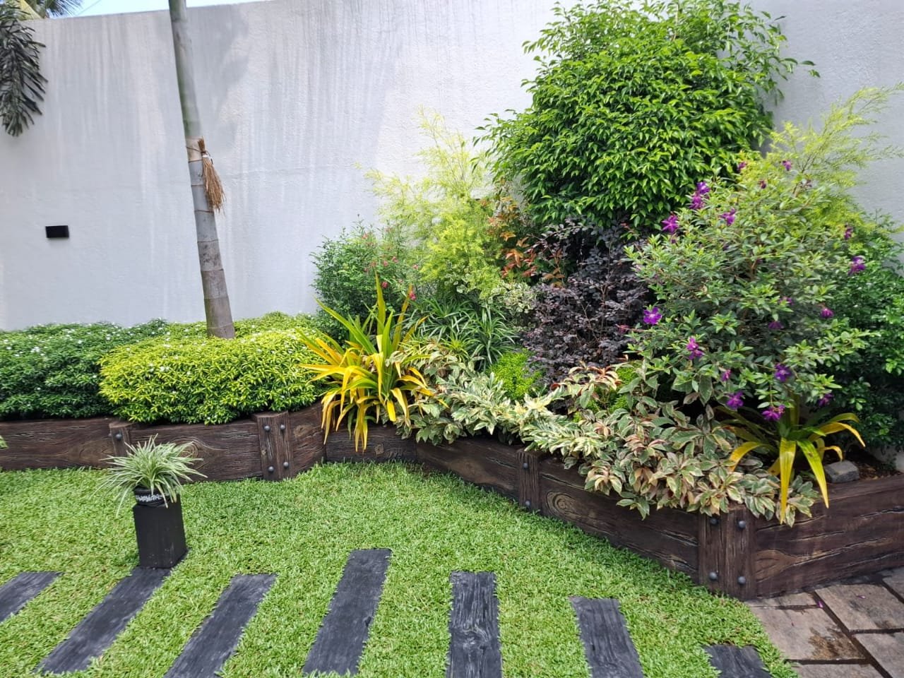 Other image 202609/australian-grass-colombo-wedabima-49df377855.jpeg