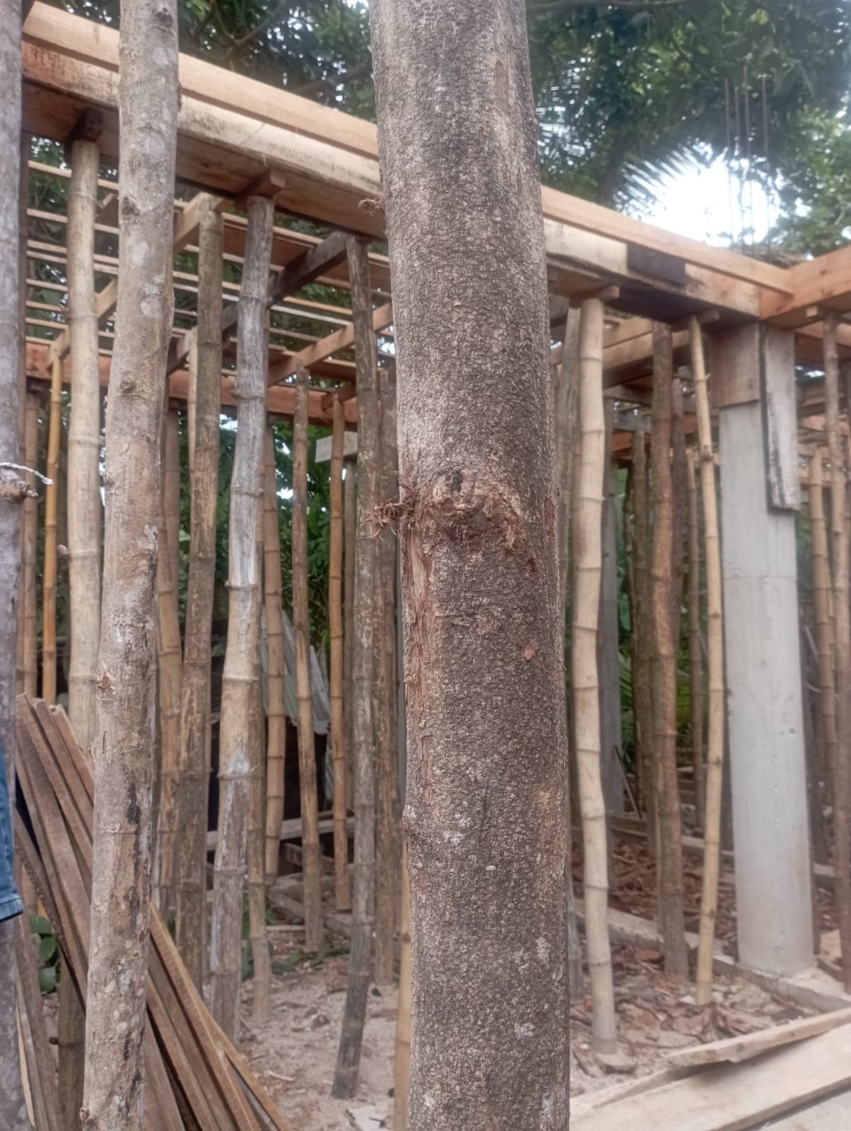 Other image 202609/house-builders-in-colombo-wedabima-0cc0fd55d6.jpeg