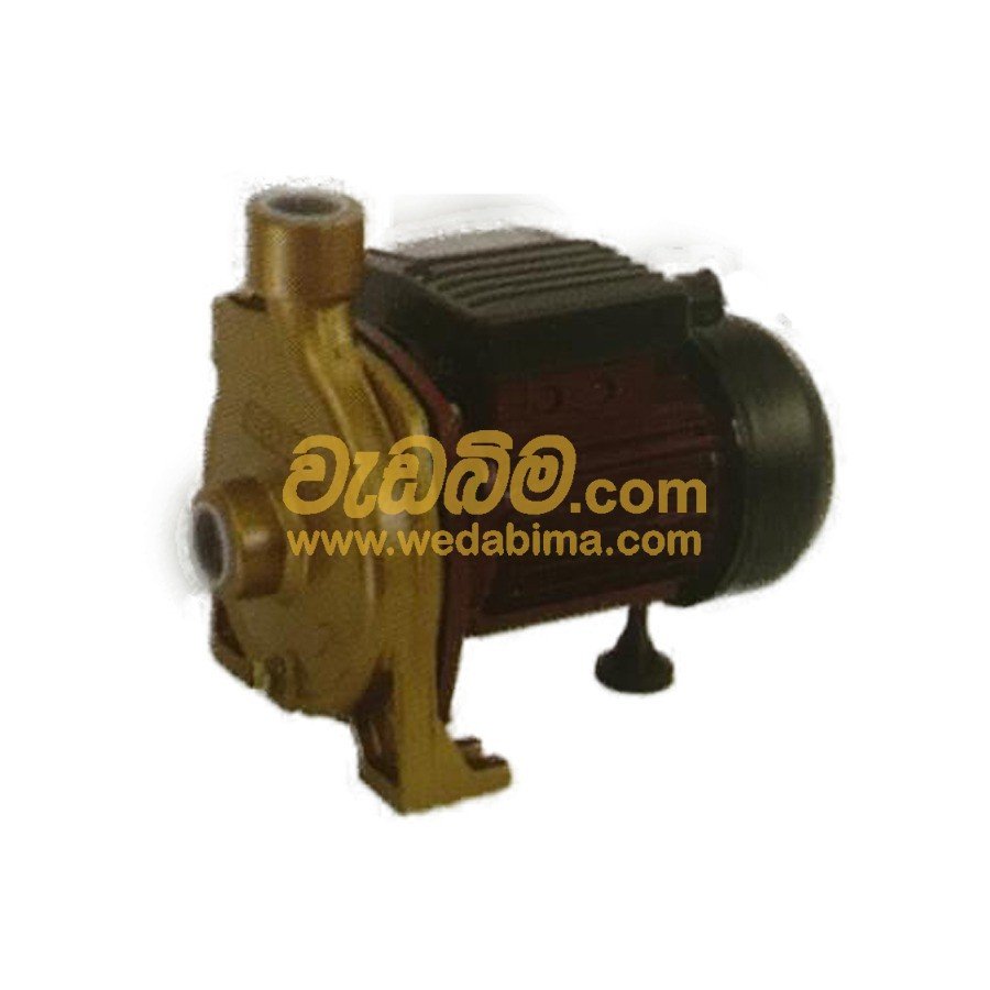 0.5 HP Water Pump